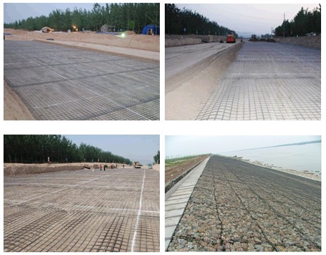 Grill-Masche einachsiges lineares Polymer-schützender Boden 25KNM Geogrid
